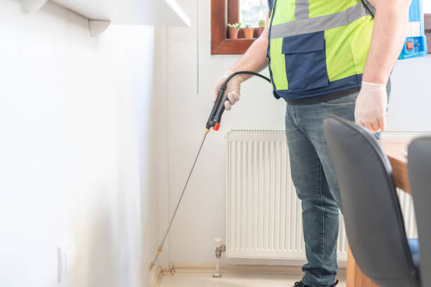 Flea Control Services in Amargosa Valley, NV