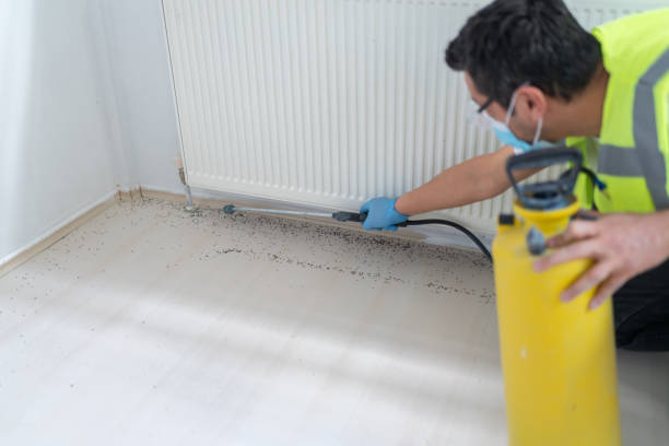 Best Pest Control Near Me  in Amargosa Valley, NV
